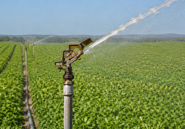 Sprinkler Irrigation