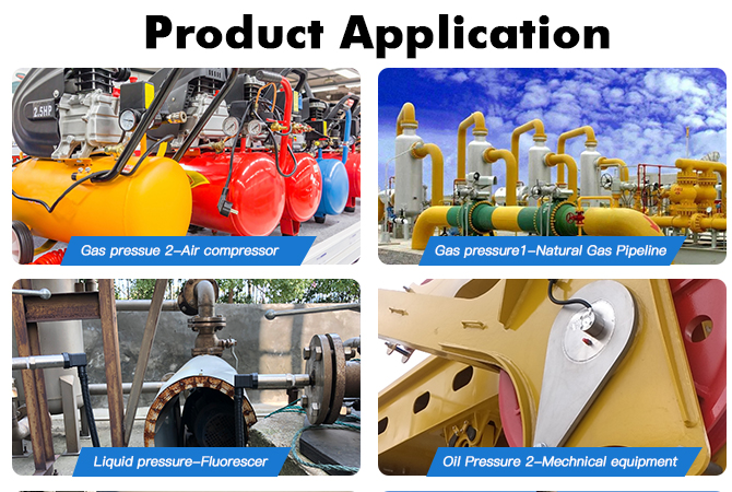 Pressure Transmitter Sensor